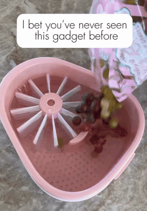 Fruit Cleaning Device | جهاز تنظيف الفاكهة