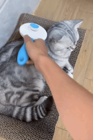 Floating Massage Pet Needle Comb Cat Hair Cleaner